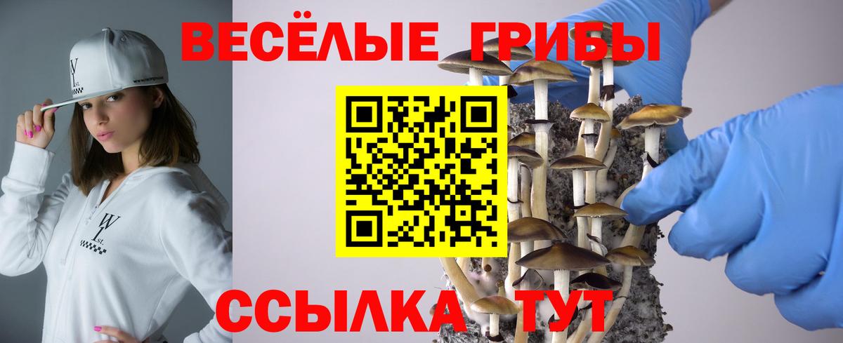 Галлюциногенные грибы GOLDEN TEACHER  Вход с VPN  Нижневартовск  Галлюциногенные грибы мухоморы 